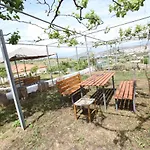 Green Garden Holiday